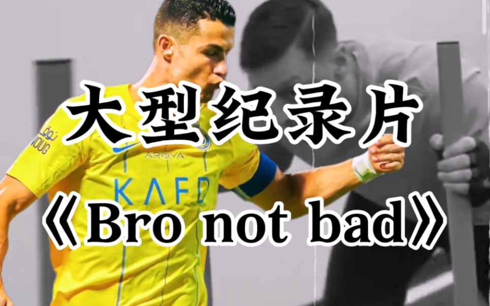 大型纪录片《Bro not bad》